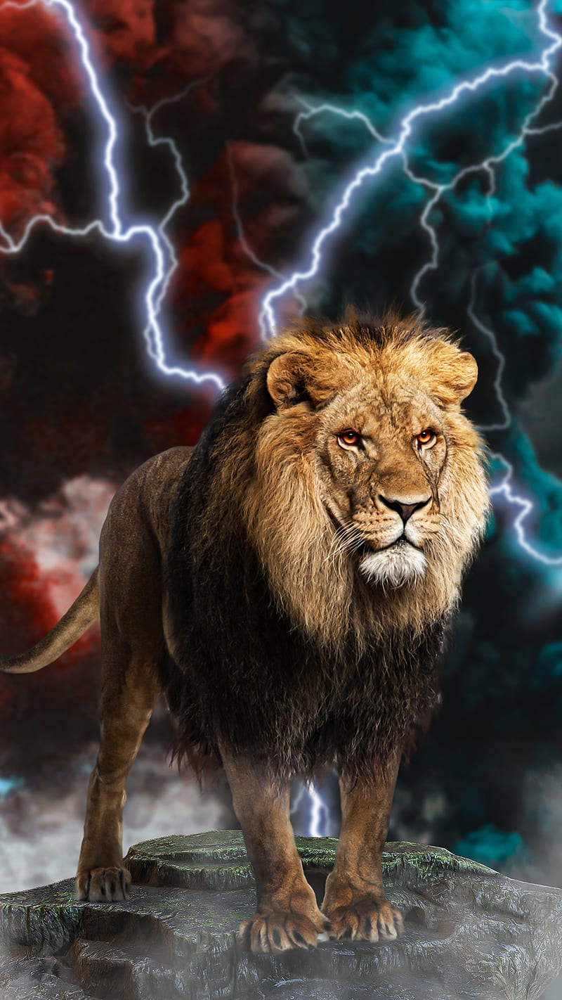 Lion Fire iPhone Wallpaper - iPhone Wallpapers