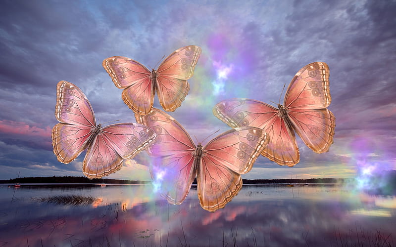 Butterflies Fantasy Butterfly Colourful Abstract HD   Peakpx   HD   Butterflies Fantasy Butterfly Colourful Abstract 