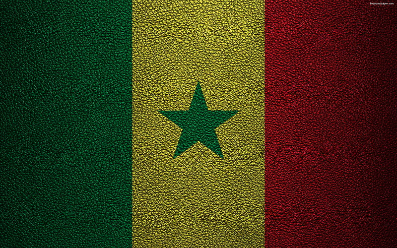 Flag of Senegal, Africa leather texture, Senegalese flag, flags of African countries, Senegal, HD wallpaper