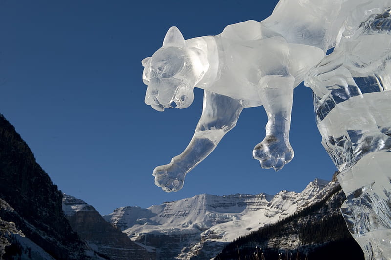 Ice Magic, big cat, frozen, winter, cold, sculpture, HD wallpaper