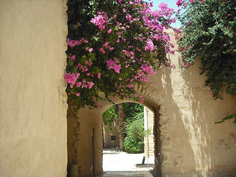 a welcoming entrance, house, dead sea, jordan, welcome, roses, entrance, HD wallpaper