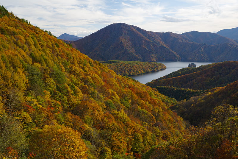 river, mountains, forest, trees, autumn, landscape, HD wallpaper