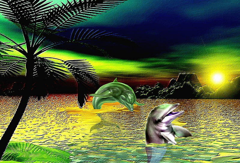 PARADISE, nature, dolphin, dream, 2012, HD wallpaper | Peakpx