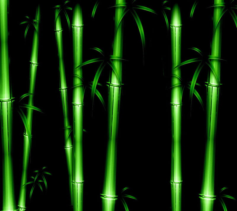 Bamboo, abstract, art, black, cool, green, nature, texture, tree, HD wallpaper