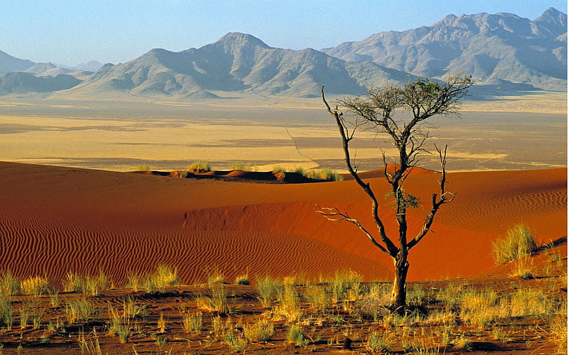 30 Namibia-Namib Nature, HD wallpaper