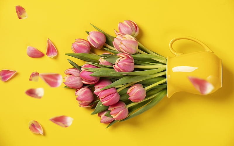 Pink tulips, yellow background, pink flowers, tulips, floral background, beautiful flowers, yellow vase, HD wallpaper