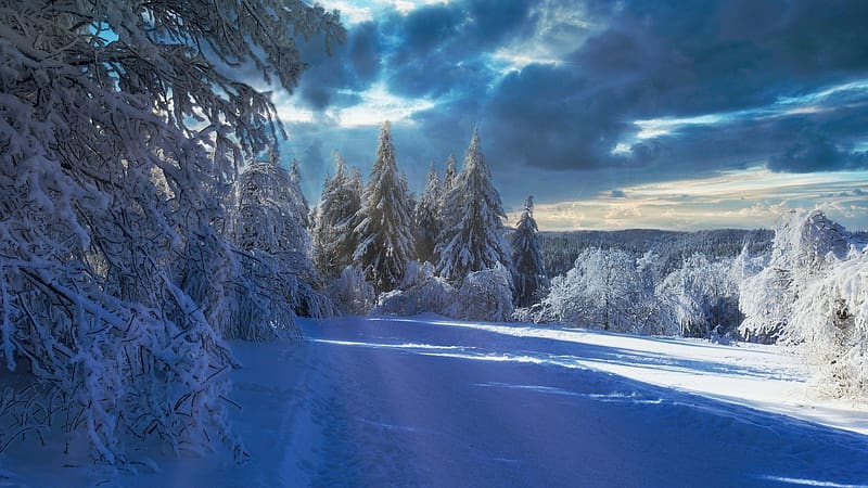 Alsace in Winter, France, trees, landscape, mountains, snow, sunshine, HD wallpaper