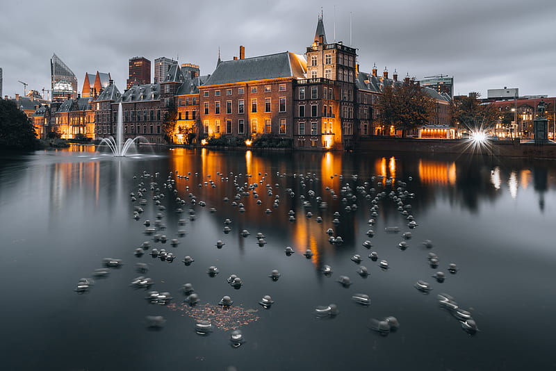 Cities, The Hague, Netherlands, HD wallpaper