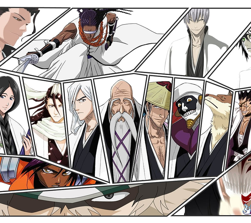 20 Bleach captains ideas | bleach captains, bleach, bleach anime