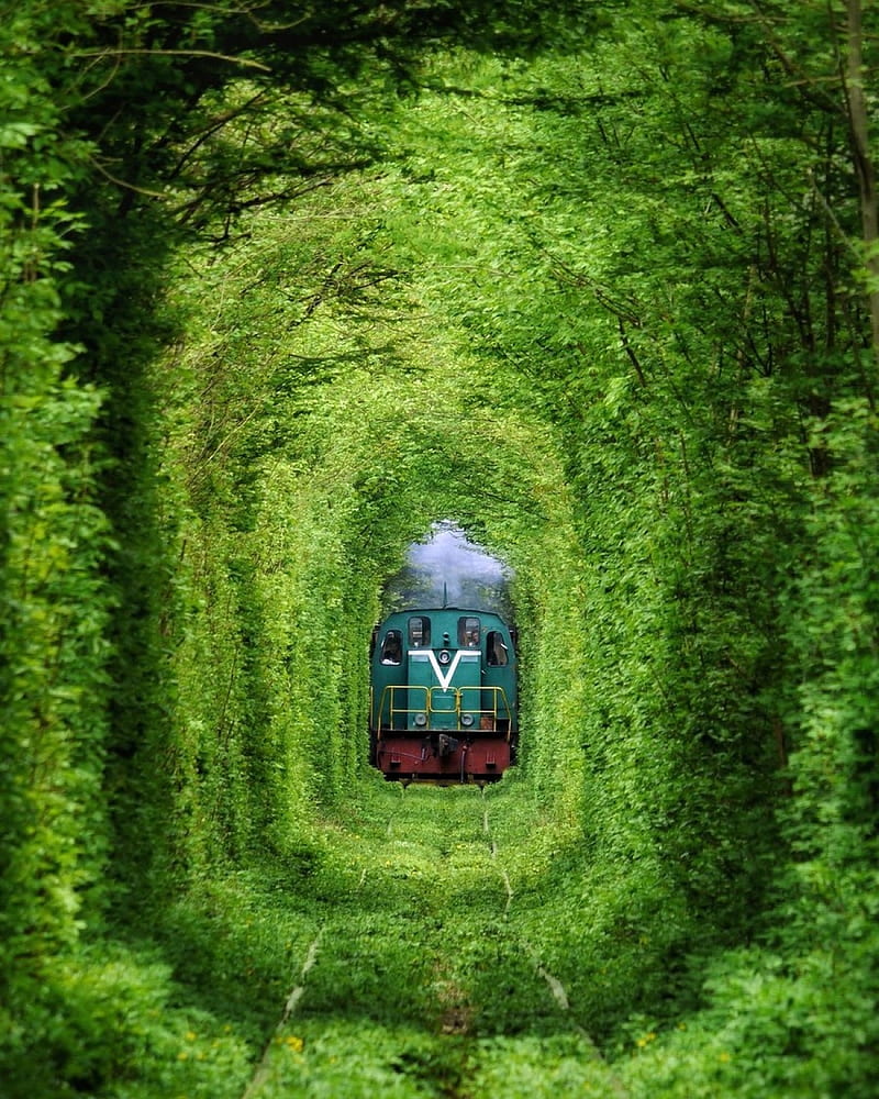 portrait display, plants, overgrown, leaves, Tunnel of Love, tunnel, railway, locomotive, diesel locomotive, train, trees, Ukraine, green, HD phone wallpaper