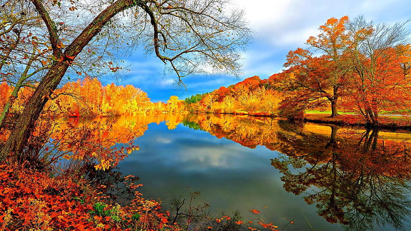 River Surrounded By Colorful Autumn Fall Leafed Trees Under White ...