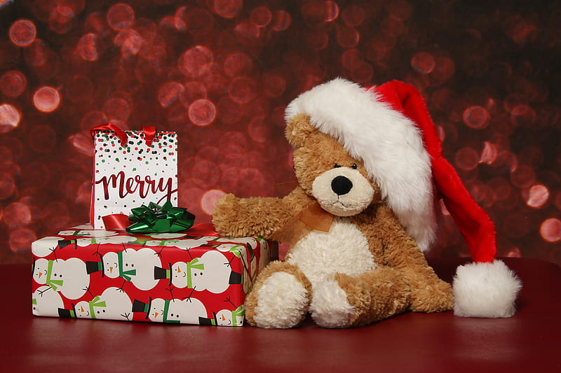 Holiday, Christmas, Bokeh, Gift, Santa Hat, Teddy Bear, HD wallpaper