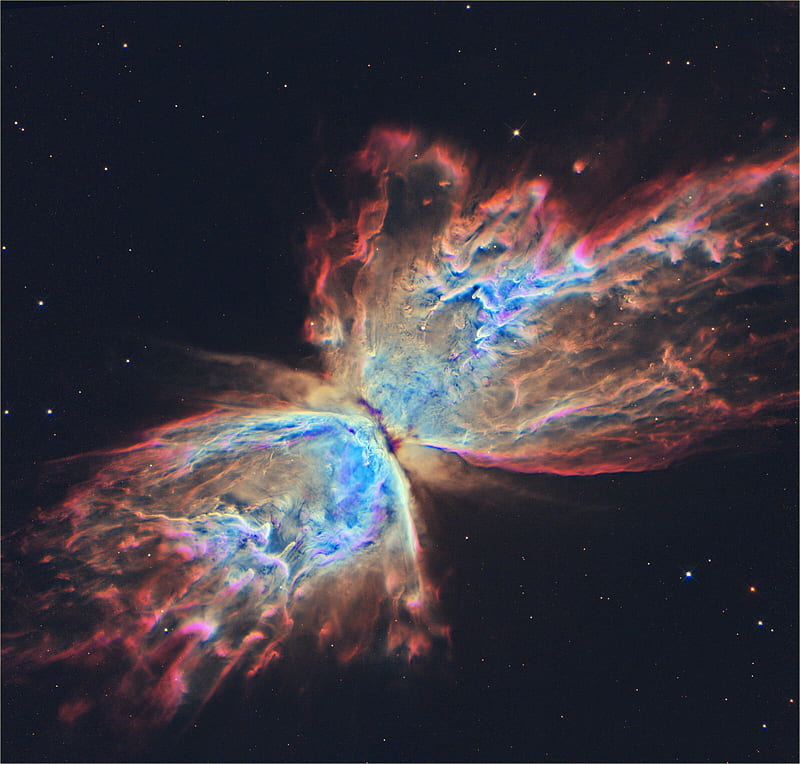 Butterfly Nublea, space, universe, HD wallpaper Butterfly Nublea, space, universe, HD wallpaper