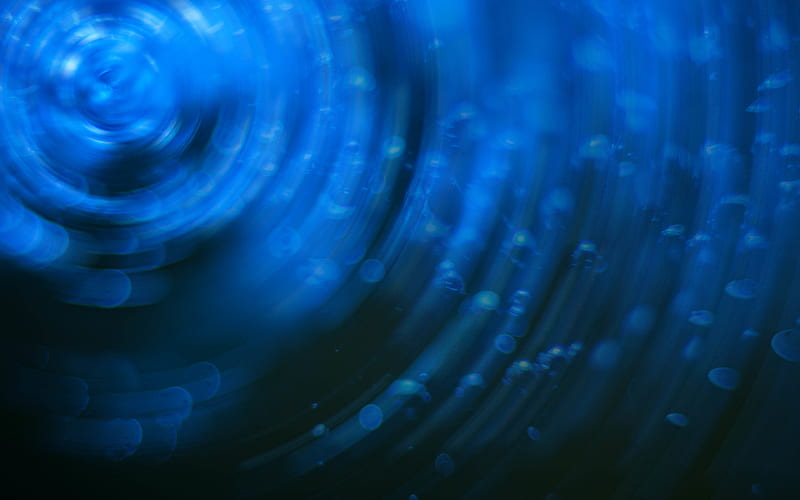 vortex, rings, circles, blue background, HD wallpaper