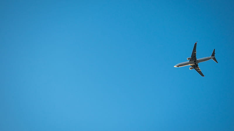 Flying Aeroplane On Light Blue Sky Light Blue, HD wallpaper