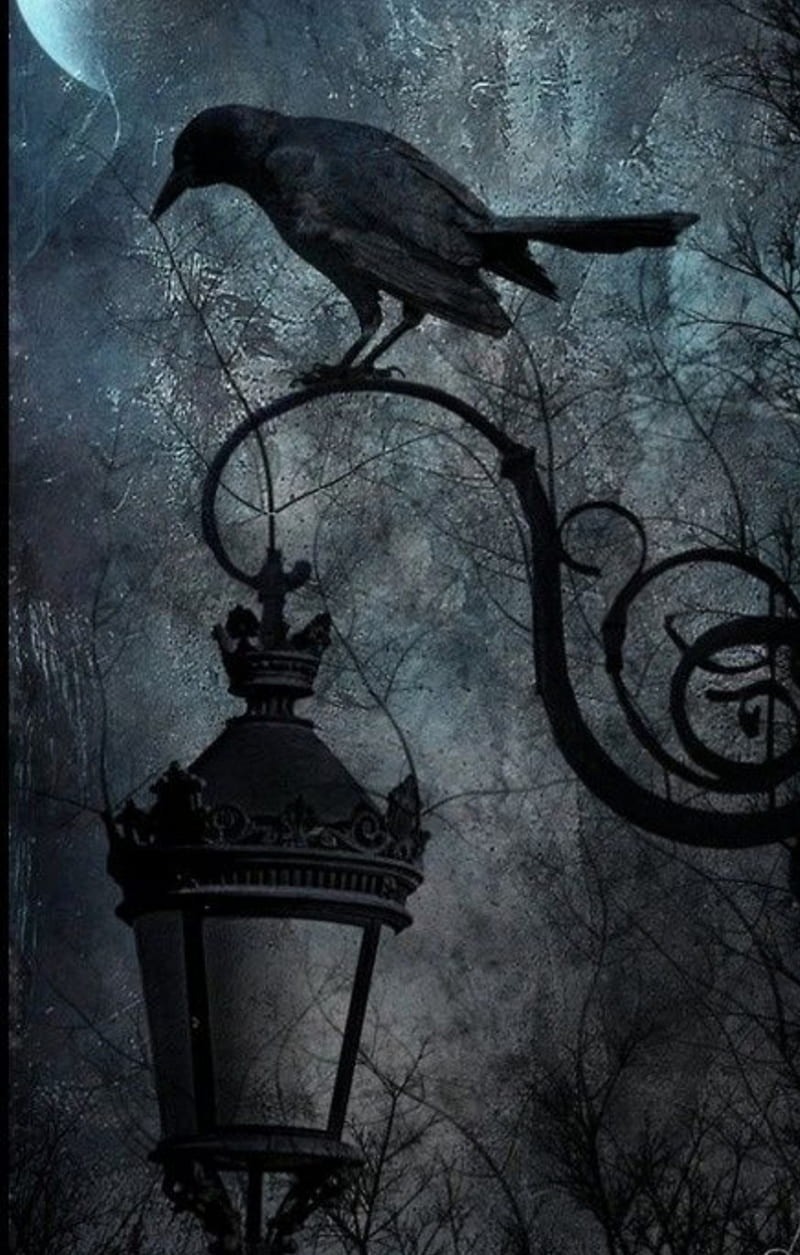 Dark night, cram, creepy, foggy, lantern, HD phone wallpaper | Peakpx