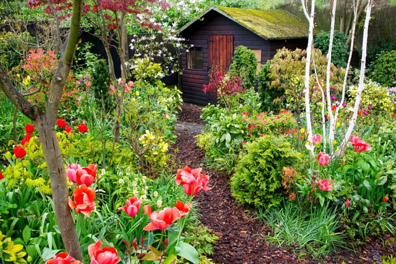 Spring flowers in the Garden shed, colors of nature, spring colors, garden shed, birds, spring, graphy, splendor, paradise, plants, lovely fowers, flowers, path, nature, lanscape, HD wallpaper
