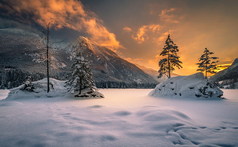 Winter, Nature Ultra, Seasons, Winter, Nature, Sunset, Trees, Golden, Snow, HD wallpaper