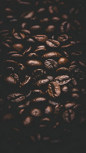 Coffee Brown  4b3619   plain background image