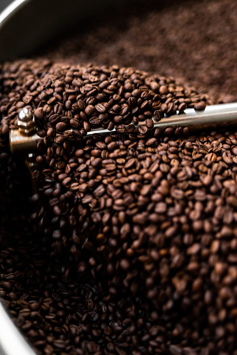 coffee beans, coffee, beans, coffee grinder, brown, HD phone wallpaper