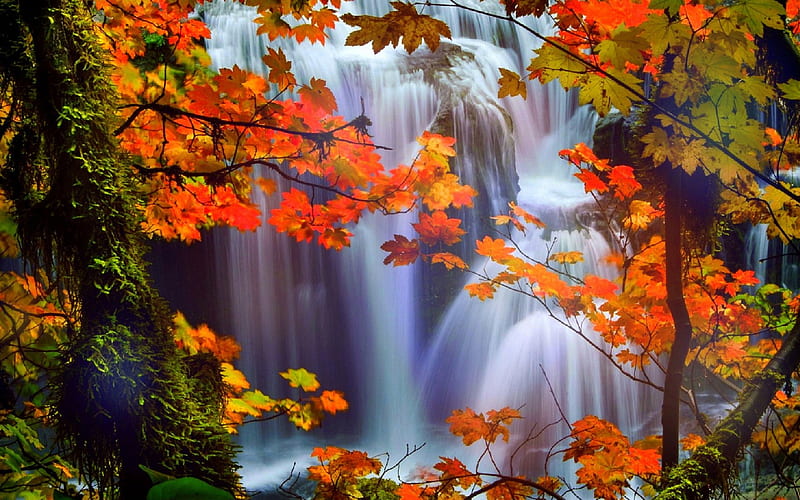 ☆Stunning Falls☆, fall, stunning, autumn, colors, love four seasons,  bonito, HD wallpaper | Peakpx