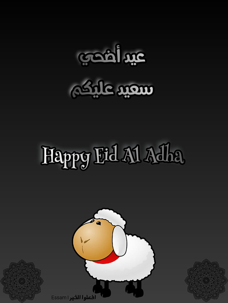 Eid adha, arab, arabic, happy, islam, islamic, makkah, muslim, prophet muhammad, quran, HD phone wallpaper