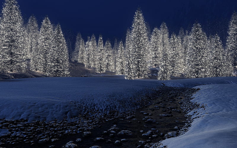 Snow Trees, snow, trees, nature, HD wallpaper