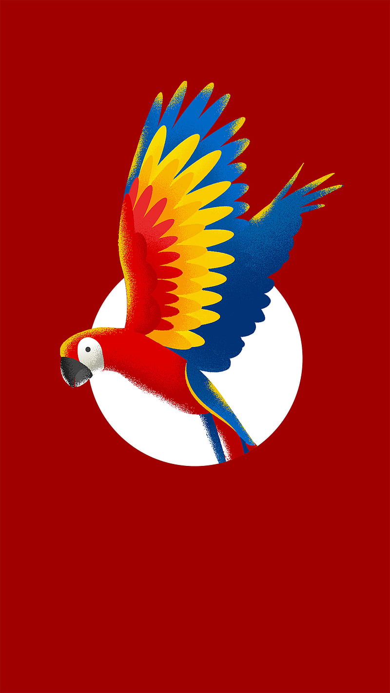 graphic bird desktop wallpaper