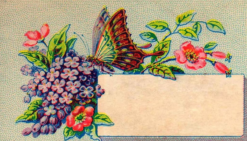 Victorian Calling Card ~ Lilacs and Butterfly, Vintage, Card, Victorian, Butterfly, Lilacs, HD wallpaper