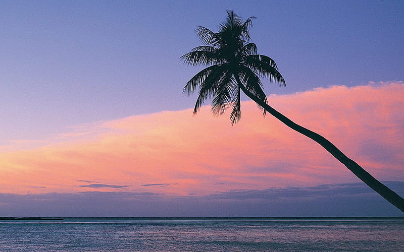 Fiji- beach sunset, HD wallpaper