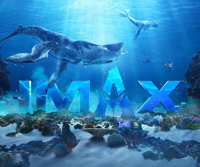 2k Descarga Gratis Avatar El Camino Del Agua Imax Póster Fondo De Pantalla Hd Peakpx 4236