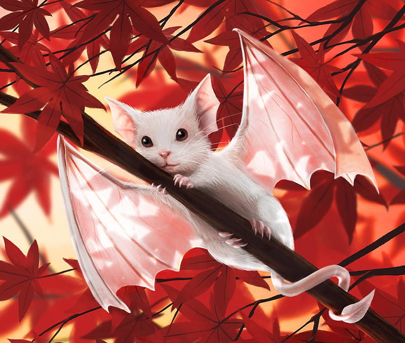Mouse Dragon, wings, autumn, mouse, bat, stefaniedworschak, white, leaf, red, dragon, fantasy, HD wallpaper
