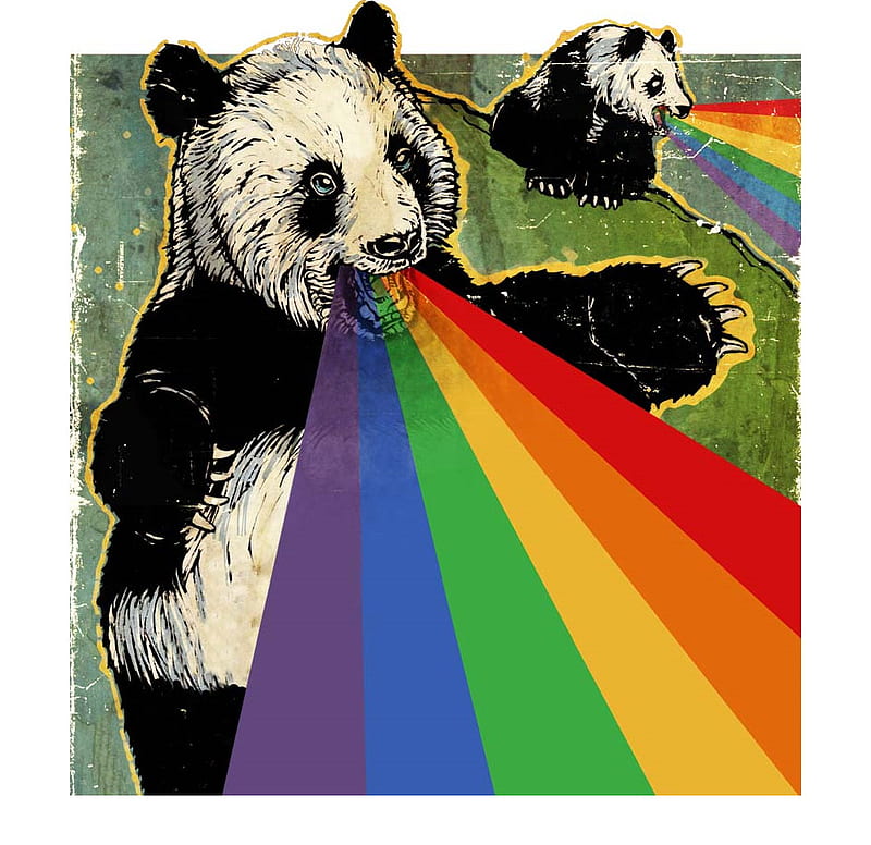 Rainbow Roaring Pandas, rainbows, colourful, black and white, bears, pandas, HD wallpaper