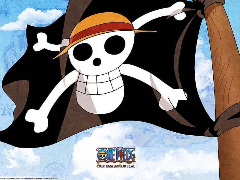 Anime One Piece Pirate Flag, Luffy's Straw Hat Flag, 35.4 x 59.1 Inches, 90  x 150 cm : Amazon.in: Garden & Outdoors
