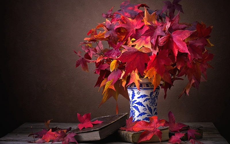 A bunch of leaves, Maple, Vase, Autumn, Books, Bouquet, HD wallpaper