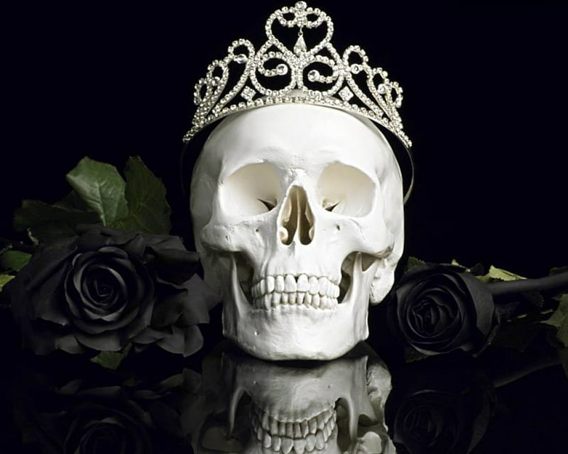 Human Skull, crown, flowers, skull, dark, HD wallpaper