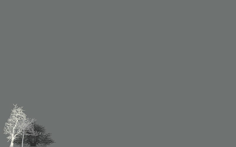 trees grey #gray #minimalism P # # #. Black and blue , , Beats, HD wallpaper