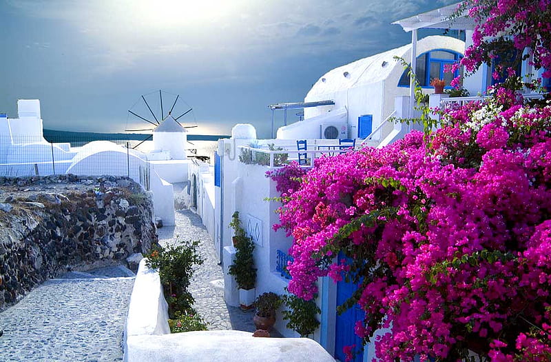 Santorini, greece, sun, view, flowers, island, white, sea, HD wallpaper