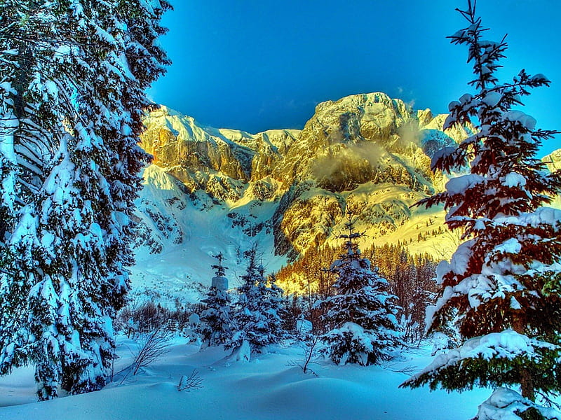 Winter landscape, pretty, glow, lovely, mountainscape, golden, bonito, trees, winter, nice, snow, peaks, nature, frozen, frost, HD wallpaper