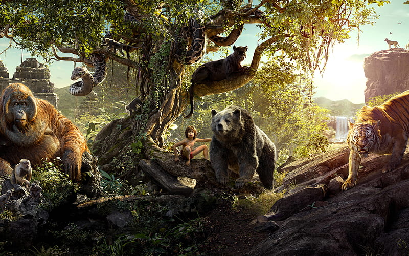 The Jungle Book, the-jungle-book, movies, animated-movies, HD wallpaper