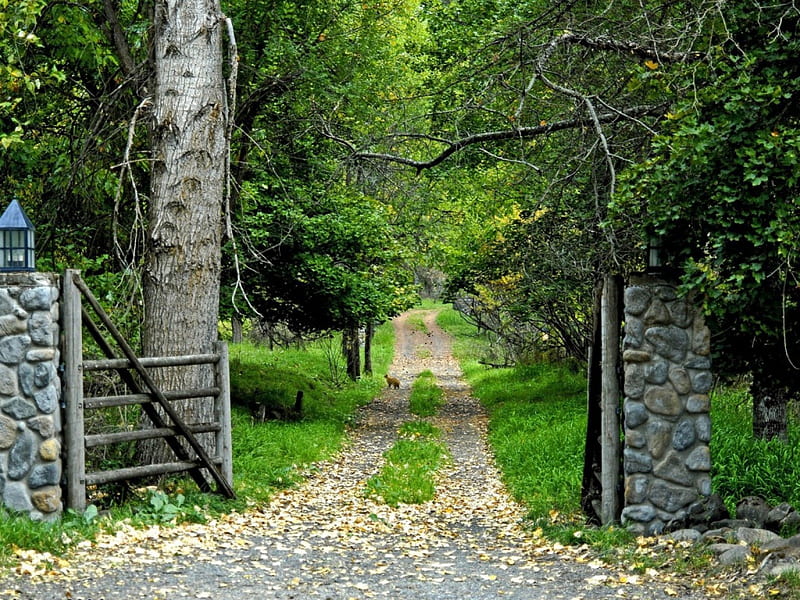 *** Gateway to ...***, gateway, path, nature, park, trees, HD wallpaper