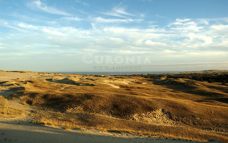 Carpeted dunes in Curonia, world, lithuanian, kurische, national, curonia, bonito, magic, neringa, valley, spit, sand, dunes, cultural, heritage, fabulously, list, nehrung, legend, beauty, harmony, unesco, kopos, strict, curonian, unique, park, sahara, reserve, nature, landscape, HD wallpaper
