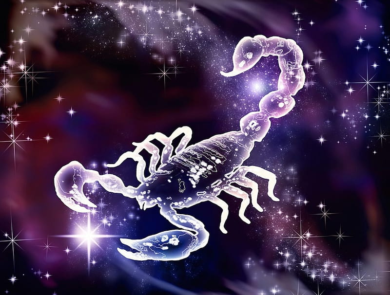 Zodiac ~ Scorpio, zodiac, fantasy, scorpio, purple, HD wallpaper