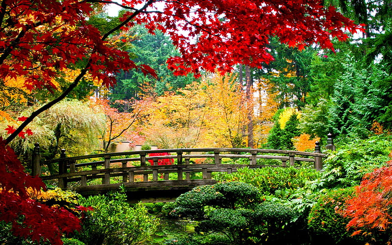 autumn landscape, park, japan, yellow leaves, autumn, red leaves, wooden bridge, HD wallpaper