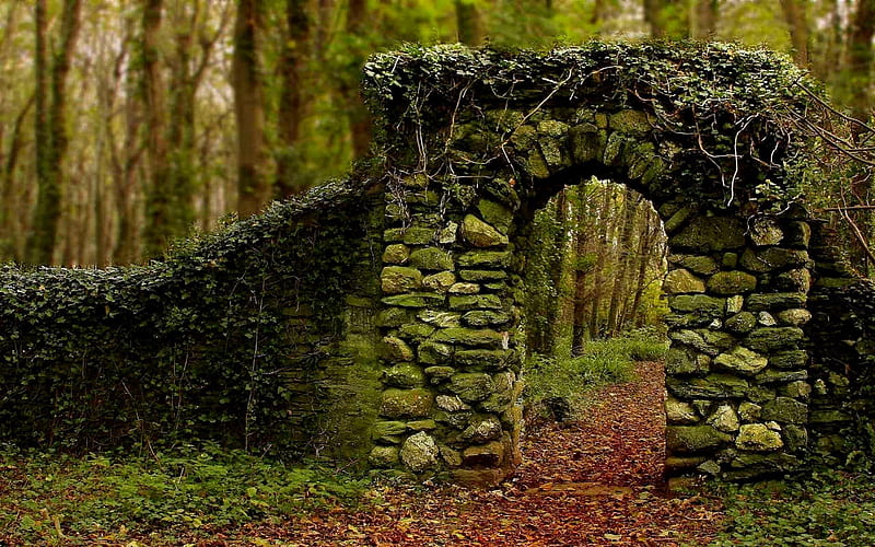 Quaint Old Stone Archway, forests, arches, old, woods, HD wallpaper