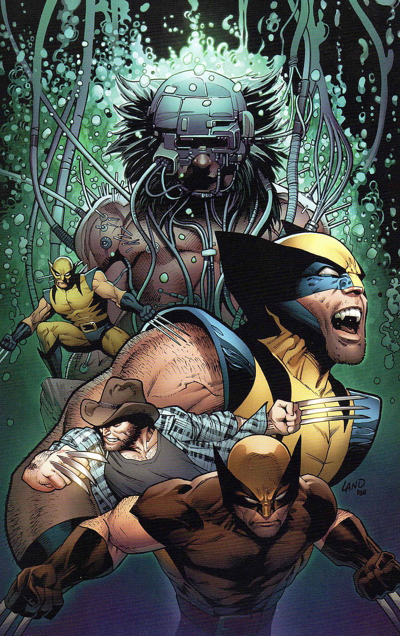 Wolverine, marvel, comics, super hero, logan, HD phone wallpaper