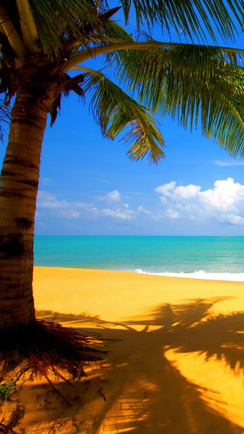 Letnji dan sunny day, sunny day, letnji dan, ocean, holiday, water, beach, HD phone wallpaper