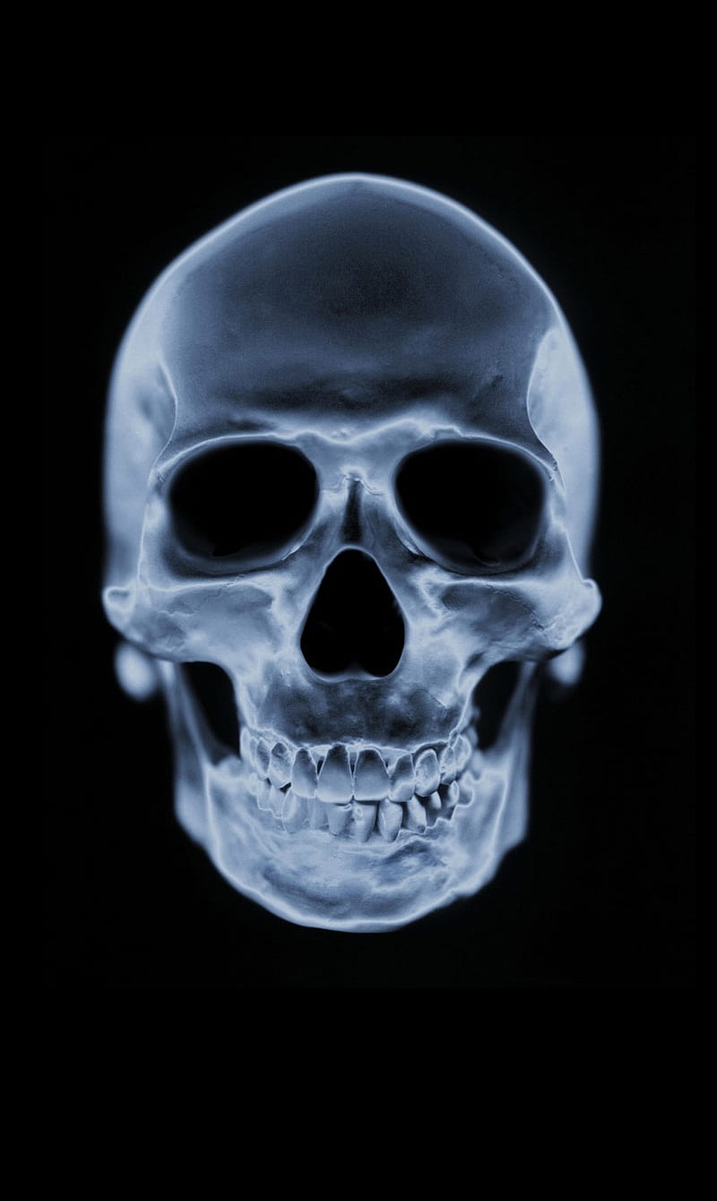 Skull X Ray, halloween, horror, x ray scary, HD phone wallpaper