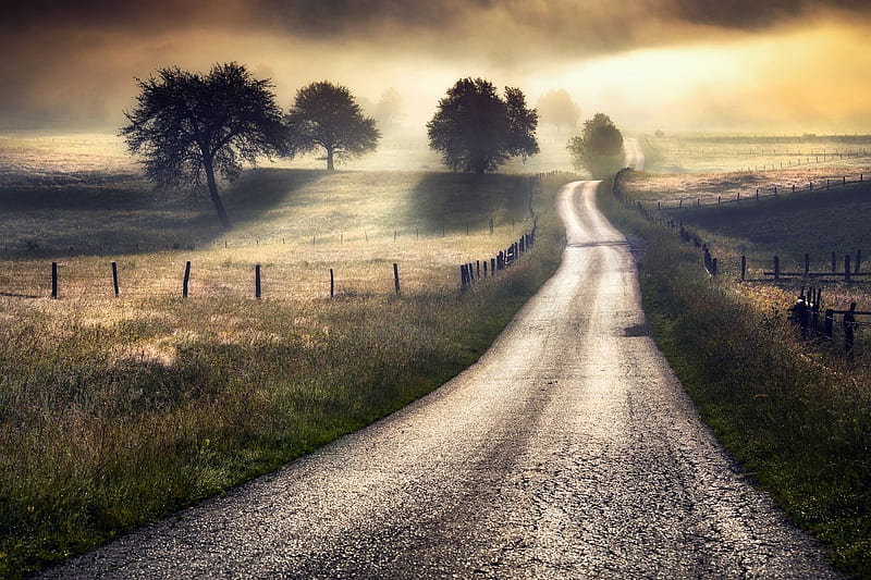 Road Into The Sunset, HD wallpaper