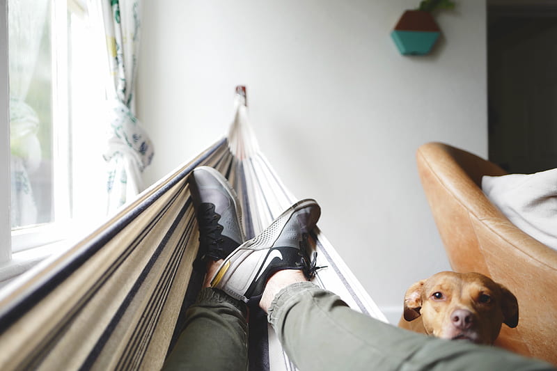 person on hammock, HD wallpaper